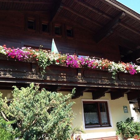 Haus Tenk Mittersill Dış mekan fotoğraf