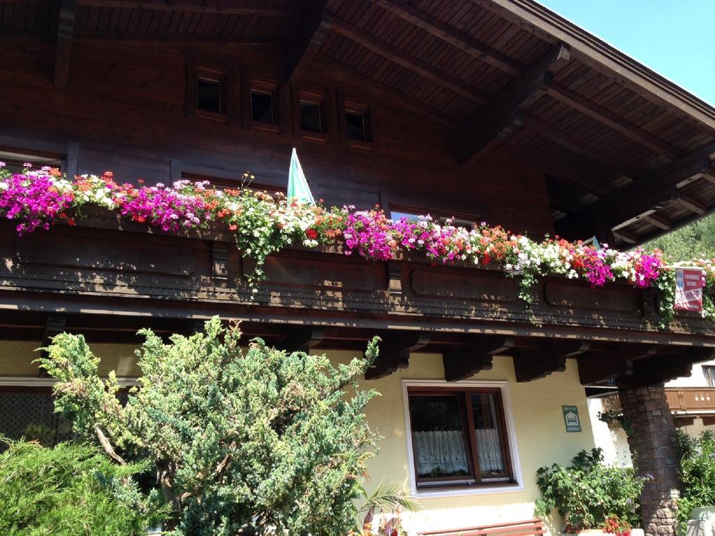 Haus Tenk Mittersill Dış mekan fotoğraf